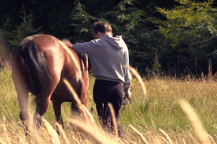 Amy-and-Horse-Small